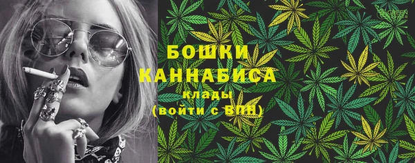 стафф Аркадак
